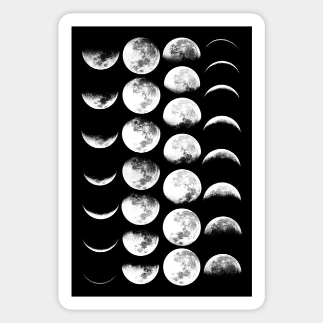 Moon Phases No. 2 Magnet by wolfandbird